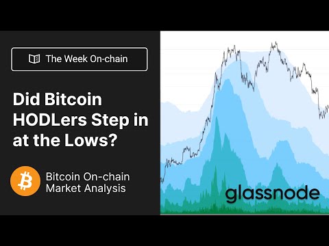 The Week On-Chain: Did Bitcoin HODLers Step In At The Lows?
