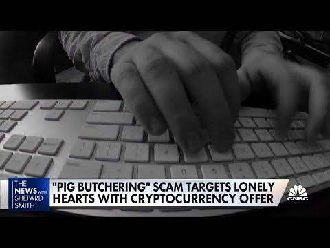 'Pig Butchering' Scams Target The Lonely