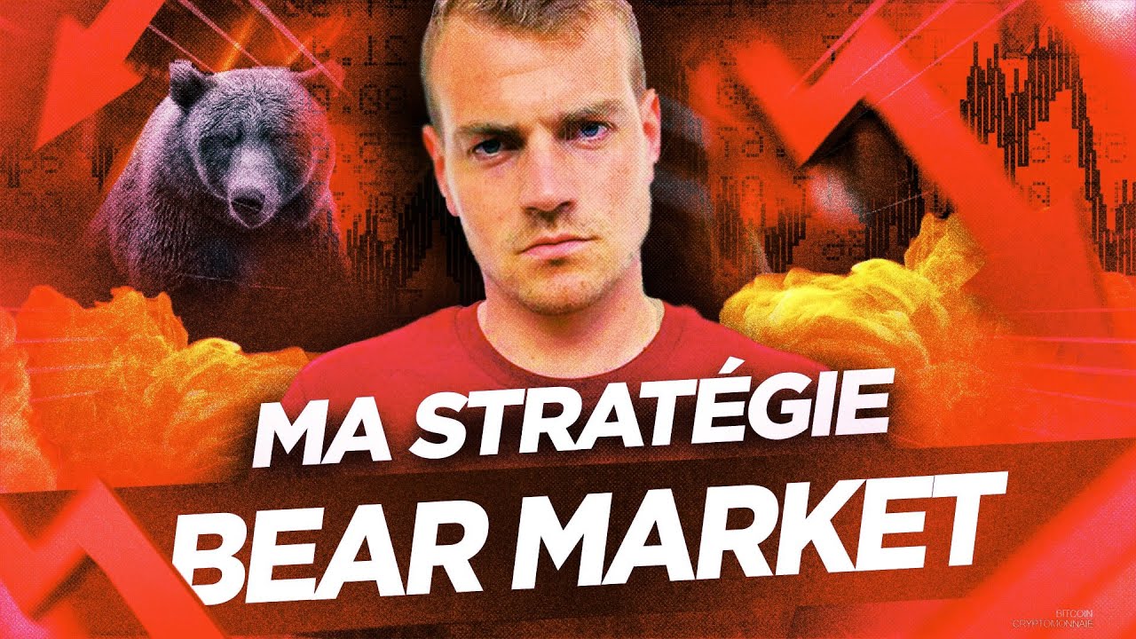 Ma stratégie durant ce BEAR MARKET