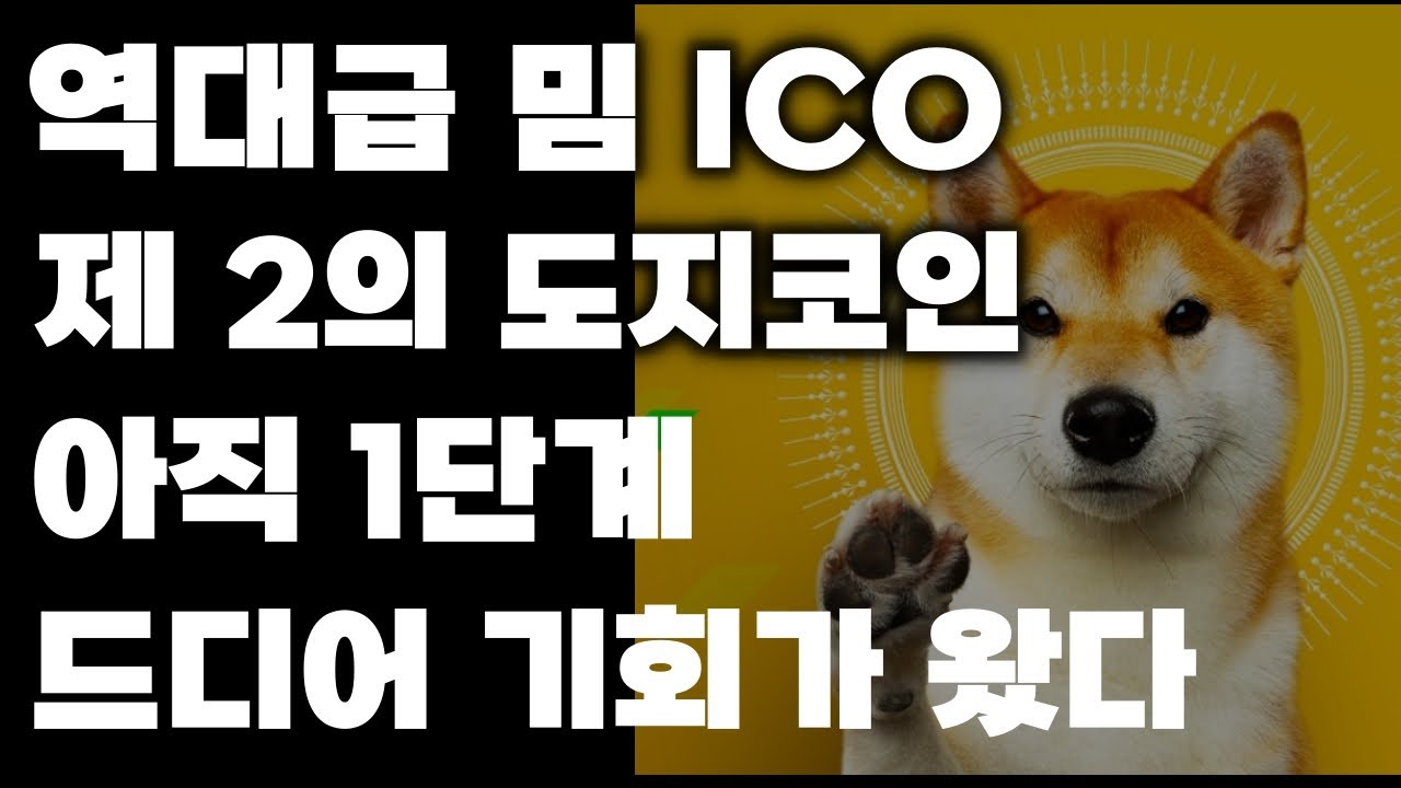 제 2의 시바이누의 탄생 I상장가와 무려 70% 차이 I ‘러브헤이트이누’ 프로젝트