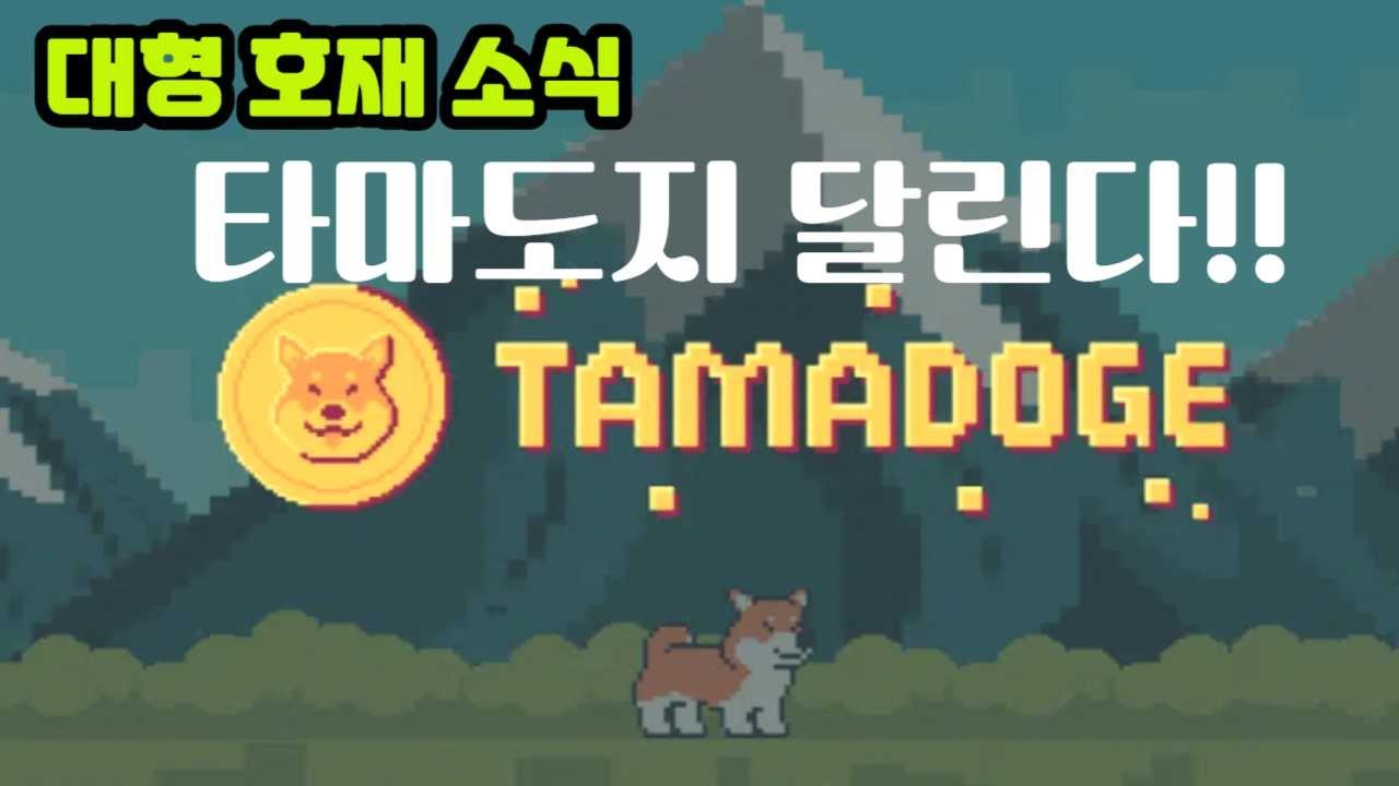 타마도지를 주목해야 하는 이유,  4월27일 탑티어 거래소 상장!