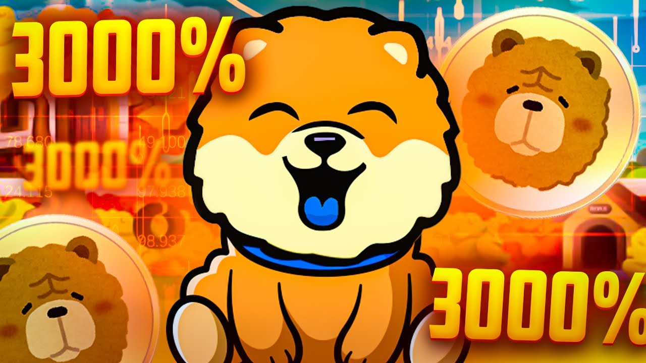 CHOW CHOW UP 3500% IN 24 HOURS! NEXT 100X MEMECOIN?