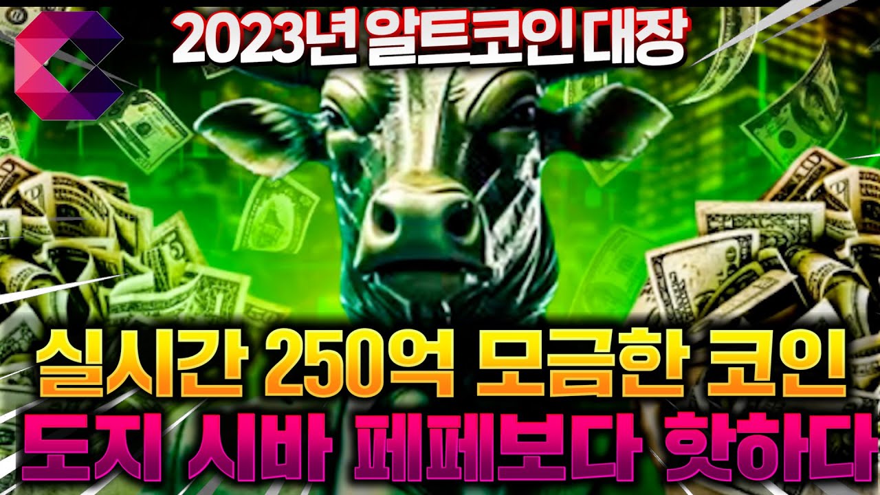 실시간으로 250억 모금한 코인, 월 스트리트 밈즈!(WSM) 도지 시바 페페 뒤엎을 기세?
