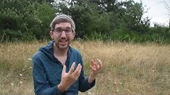 Histoire de la Monnaie – Chronologie – le système économique c’est quoi ?