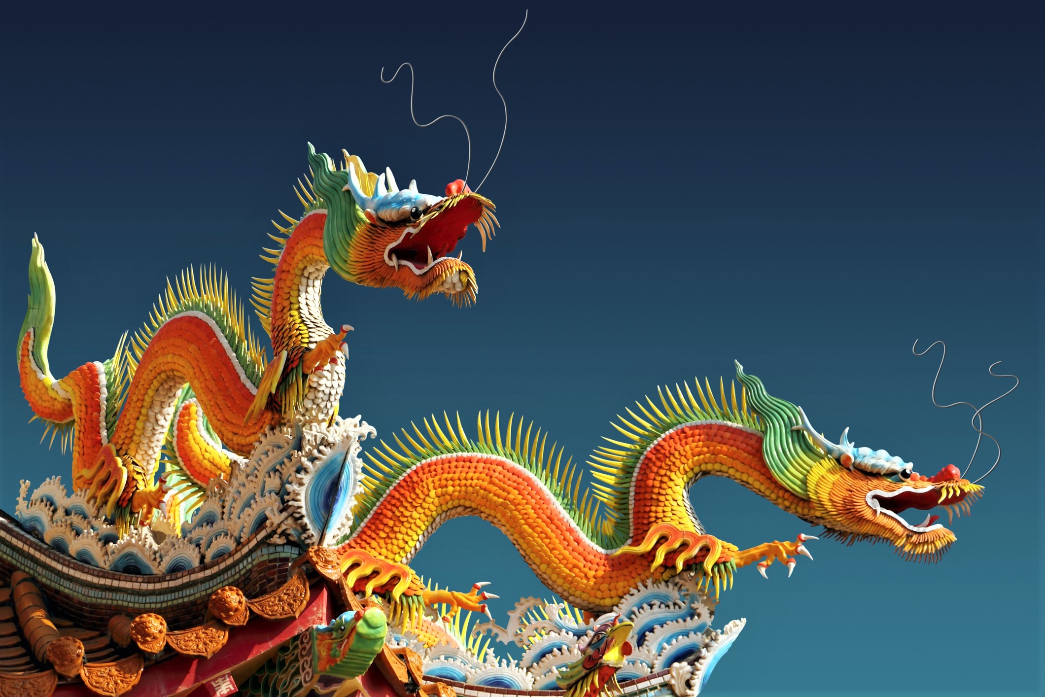 Oriental dragon. Китайский дракон Тяньлун. Китайский дракон Юй-лун. Китайский дракон чиа. Символ Китая дракон.