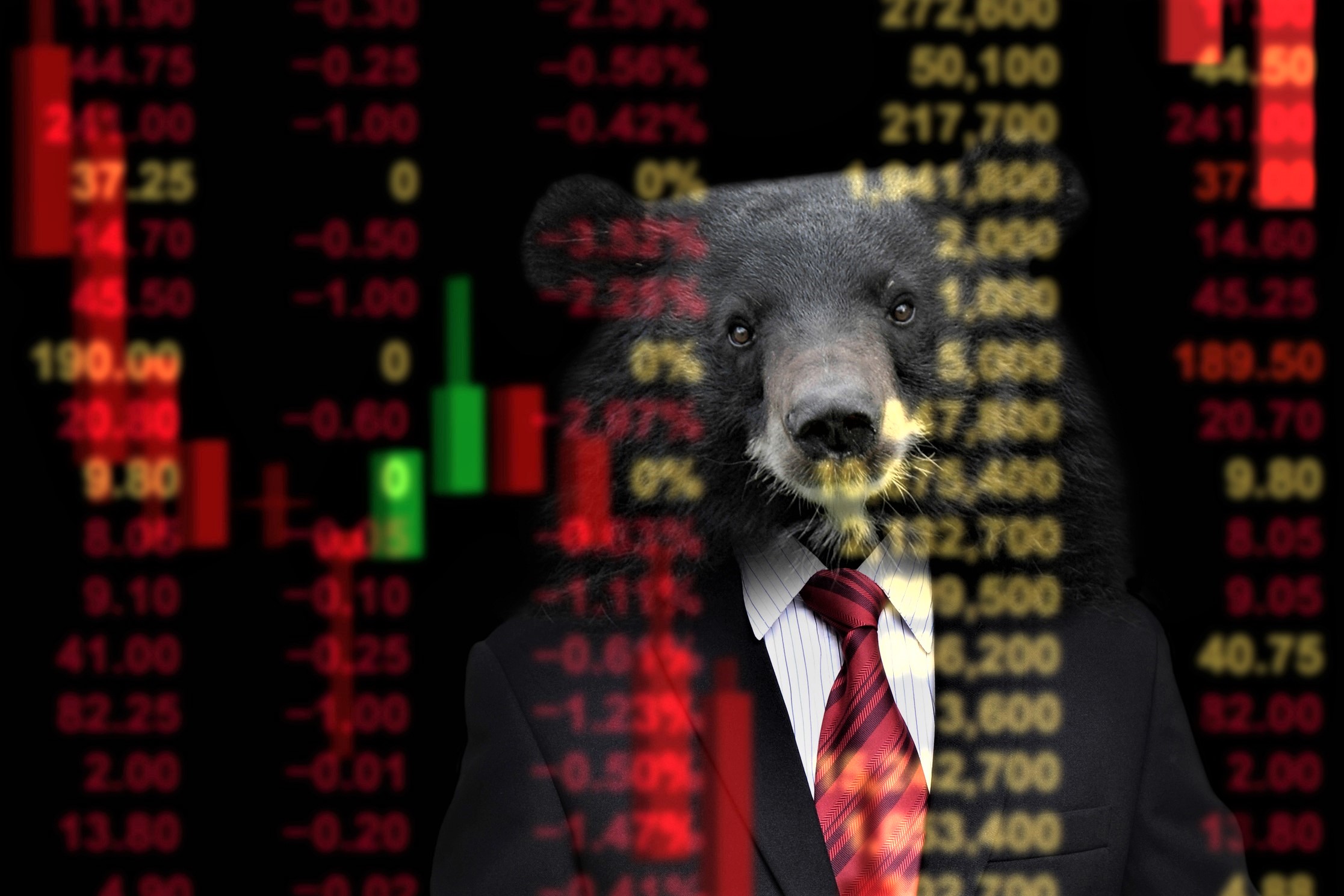 How to Make a Profit in a Bear Market