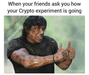 When your friends ask you how your crypto experiment is going