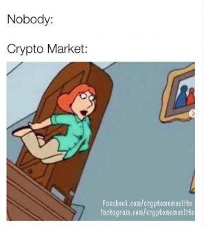 Experts, Settlements, and 20 Crypto Jokes 103