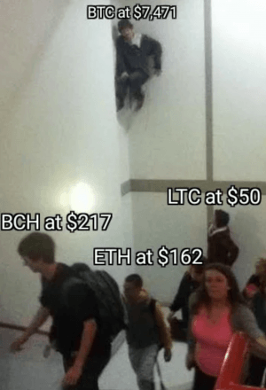 Integration, Domination, Investment and 20 Crypto Jokes 105