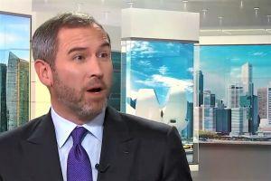 Ripple CEO Says There are Too Many Cryptos, but Bull is on the Horizon 101