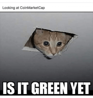 Surveillance, Blockchain Importance and 20 Crypto Jokes 105