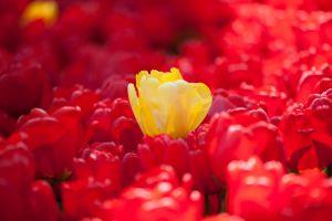 Zcash Outperforms Bitcoin, Ethereum as it Prepares For Blossom 101
