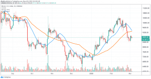 Bitcoin Remains in Consolidation Above Key Barrier 102