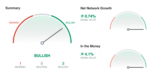 How Are Bitcoin, Ethereum, Litecoin, BCH, BSV Hodlers Doing After the Rally? 103