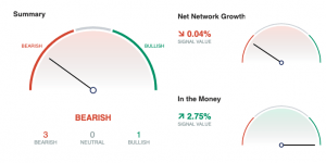 How Are Bitcoin, Ethereum, Litecoin, BCH, BSV Hodlers Doing After the Rally? 104