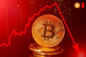 Bitcoin Drops Below USD 10,000, Erases 24 Hour Gains in Minutes 101