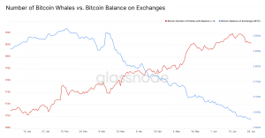 Bitcoin Whale Population Growth Might Be A Mirage 102