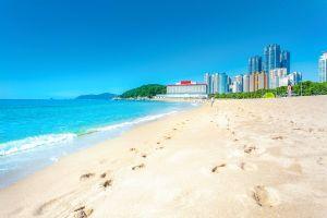 Pack Your Bitcoin: Busy South Korean Beach Says ‘Yes’ to Crypto 101