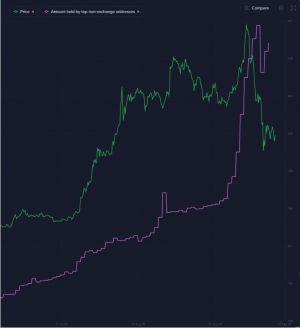 Ethereum Whales Almost Double Their Holdings in A Month – Report 102