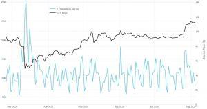 Bitcoin Whales Using 2020 to Accumulate BTC - Research 104