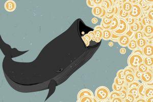 Bitcoin Whales Using 2020 to Accumulate BTC - Research 101