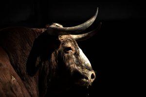 3 Bullish News For Bitcoin From Fidelity, JPMorgan & Microstrategy + More 101