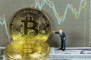 Exchanges Send More USD 1M Bitcoin Transfers as Investors Look For a Hedge 101