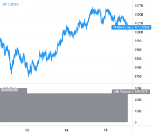 Bitcoin and Altcoins Correct Gains 101