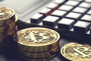 Bitcoin Transaction Fee Estimators: What Are They and How Do You Use Them 101