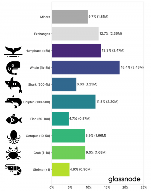 So You’re Not a Bitcoin Whale – But What Kind of BTC Sea Creature Are You? 102