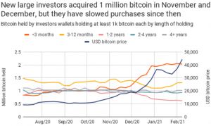 Tesla’s Bitcoin Buy Comes As Earlier Large Investors Retreat 102