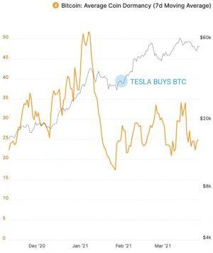 Early Investors Hodl Post-Tesla-Bitcoin Buy As Analysts Debate Hedge 'Myth' 102