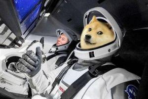 Dogecoin Gets Another Boost from Coinbase, Elon Musk 101