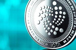 IOTA's African Pilot Moves From Flowers to Tea, Fish, and Textile 101