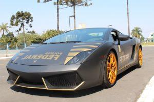 Confiscated Lambo Utilised for Education, Crypto Donations for Animals + More News 101