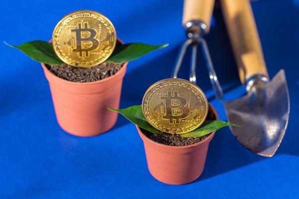 3 Bitcoin Sentiment Analysis Tools: How They Work & How to Use Them