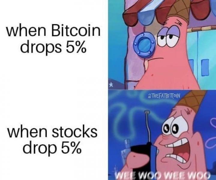 crypto winter meme