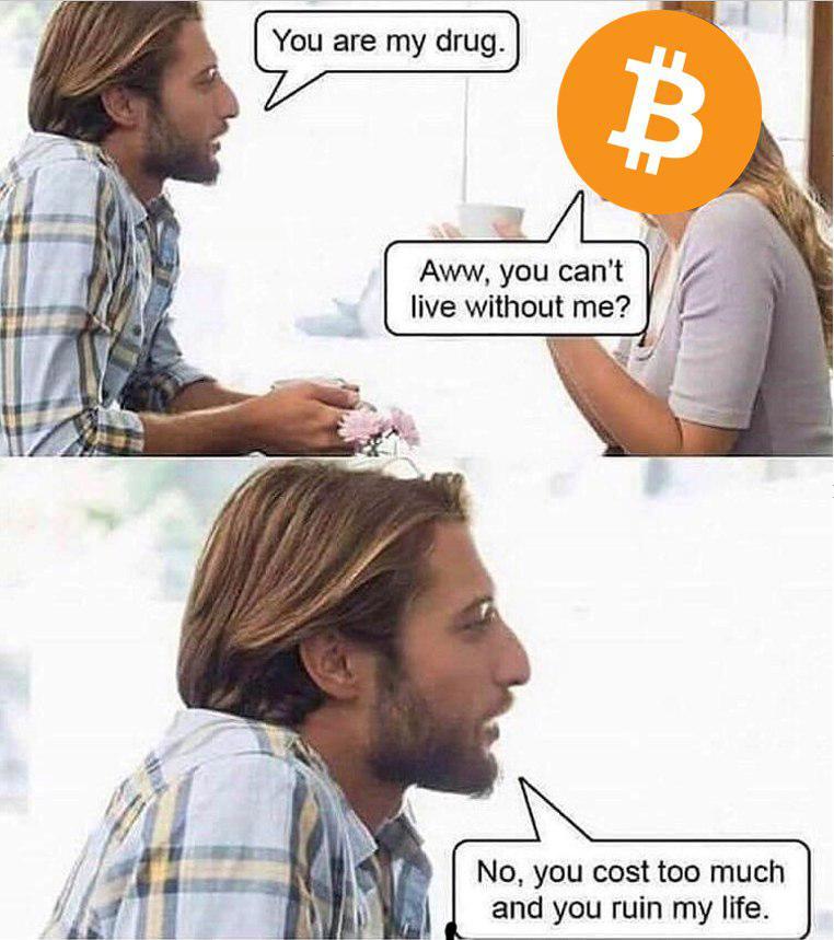 crypto winter meme