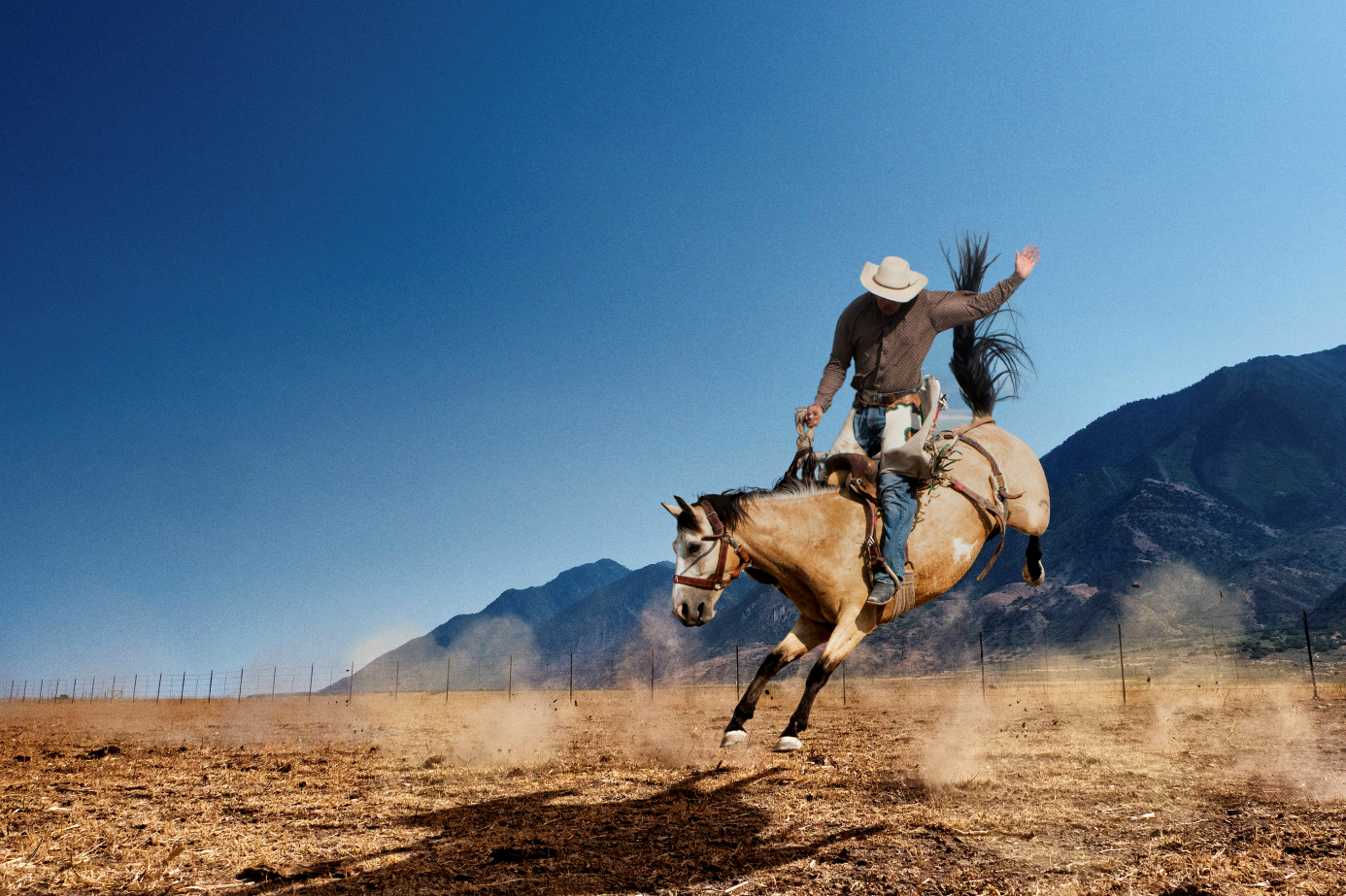 Source: iStock/stevecoleimages