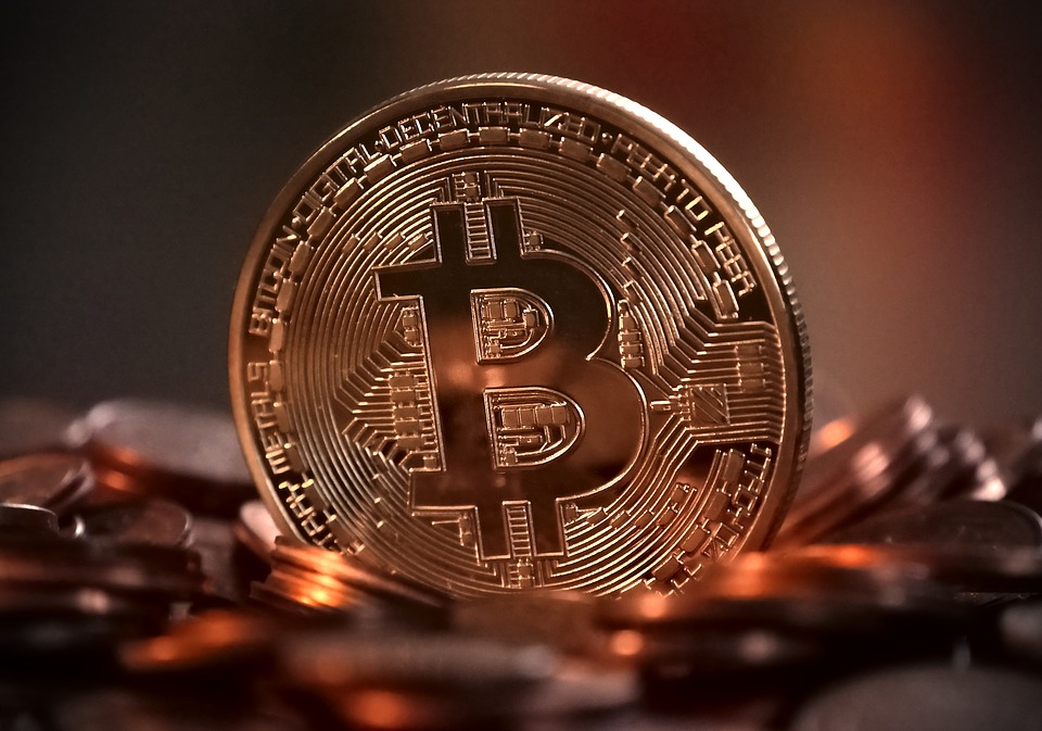Ce millionnaire en Bitcoin de 18 ans crée un fonds pour les startups cryptos 0001