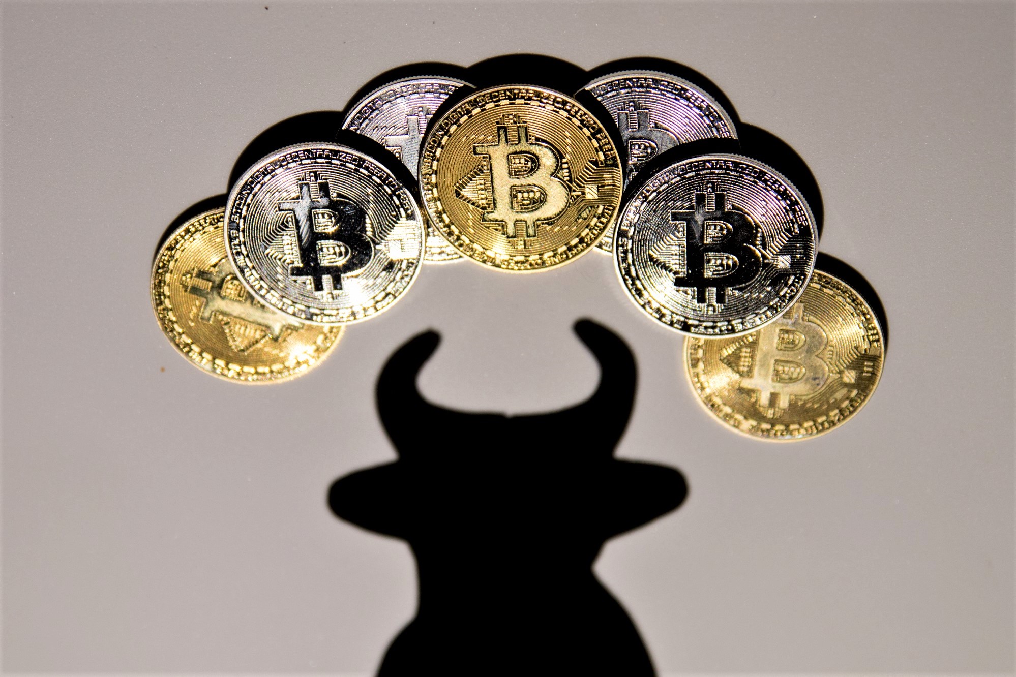 bitcoin bull
