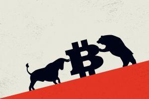 Bitcoin Bulls and Bears List Reasons Why Price Will Rise or Drop by 2030