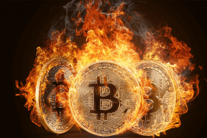 Why Bitcoin Likes a Hard-On Environment