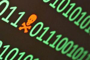 PAID Crashes on Alleged Massive Exploit News