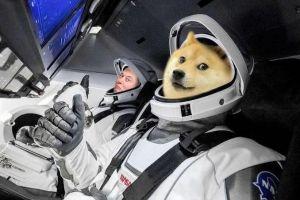 Dogecoin (DOGE) bénéficie d'un nouveau coup de pouce de Coinbase et Elon Musk
