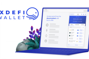 Wallet XDEFI : un avenir prometteur pour le remplaçant français de Metamask ?