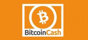 A Beginner S Guide To Bitcoin Cash Bch Cryptocurrency