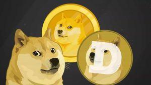 How to mine dogecoin on your pc or laptop