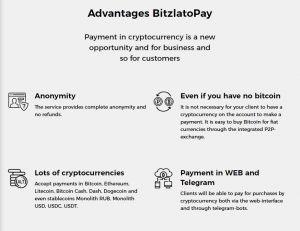 Bitzlato pay advantages