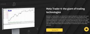 Brokereo review metatrader 4